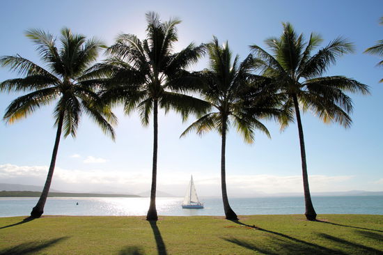 Na, wenn das mal nicht als Fototapete für den Partykeller taugt!?
(Lizzy) Das Bild haben wir nicht irgendwo gekauft. Rod hat es tatsächlich gemacht!