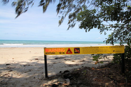 Und wieder diese aufdringlichen Warnschilder auf dem Weg zum Strand. Hier ist auch gut zu erkennen, welche Nationen von den australischen Behörden als besonders risikofreudig (oder auch dumm) angesehen werden. Das Warnschild hat neben den englischen Hinweisen auch ein deutsches 'Achtung' und asiatische Schriftzeichen.