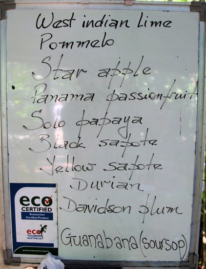 Am Cape Tribulation haben wir auch die Exotic Fruit Farm besucht. Hier gibt es Fruchtverkostungen mit anschließendem Rundgang über das Gelände. Auf dem Schild sind die Früchte aufgeführt, die wir an dem Tag probieren konnten.