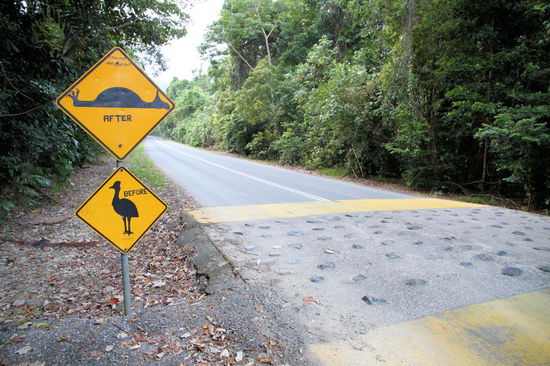 Hier die Extremvariante an Warnschild und Aufpflasterung zur Geschwindigkeitsreduzierung. Die Huckel alleine waren schon hoch genug, aber in Kombination mit den spitzen Steinen die noch rausschauen, muss man sehr langsam drüber fahren (wenn man keinen dicken Jeep fährt).
Die beiden Schilder sind nicht mehr ganz original und wurden von lustigen Australiern oder Touristen 'überarbeitet'.