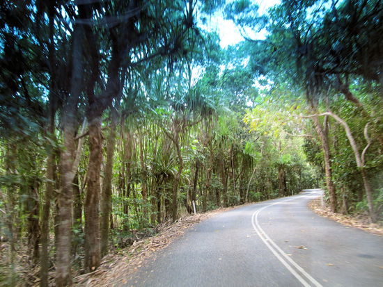 Foto aus dem fahrenden Auto - wie man sieht kann man hier schlecht für ein Foto anhalten. 
Teilweise fährt man mit dem Auto quasi direkt durch den Regenwald.