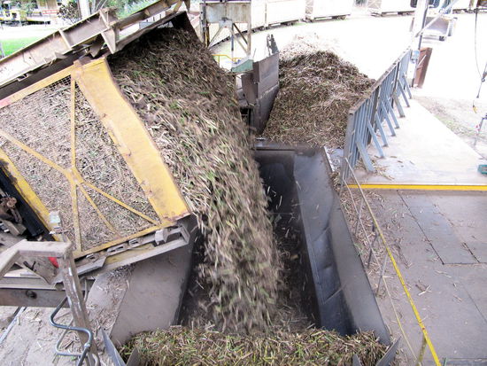 Auf dem Rückweg nach Cairns haben wir noch einen Zwischenstopp in Mossman gemacht und uns die dortige Zuckerrohr-Fabrik angeschaut. Am interessantesten fanden wir das Ausladen der Zuckerrohr-Waggons. Das Zuckerrohr wird in der Erntesaison entweder per LKW oder Zug vom Feld zur Fabrik gefahren.
Schon wieder ein Essensstopp! Haben uns dort auch einen Pott mit Zucker und Zuckerrohrsirup (schmeckt nicht ganz so gut wie Zuckerrübensirup) gekauft.