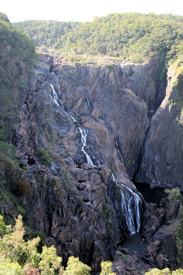 Wir haben auch den Barron River Wasserfall besucht. Während der Trockenzeit (momentan) leider nur ein kleiner Bach.