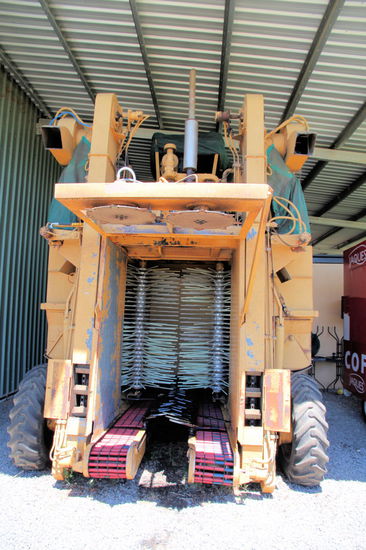 Hier die vom Plantagenbesitzer selbst entwickelte Kaffee-Erntemaschine. Die Maschine ist nötig, da im Vergleich zu den sonstigen Ländern wo Kaffee angebaut wird, die Arbeitskraft (fürs pflücken per Hand) in Australien viel zu teuer ist. Wir haben natürlich auch einen leckeren Kaffee vor Ort getrunken und nach der Führung so einige Dollar bei Direktverkauf ausgegeben. 