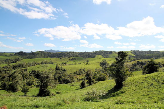 Die Landschaft des Atherton Tableland hat uns sehr gefallen. Mich hat es sehr an Neuseeland erinnert.
