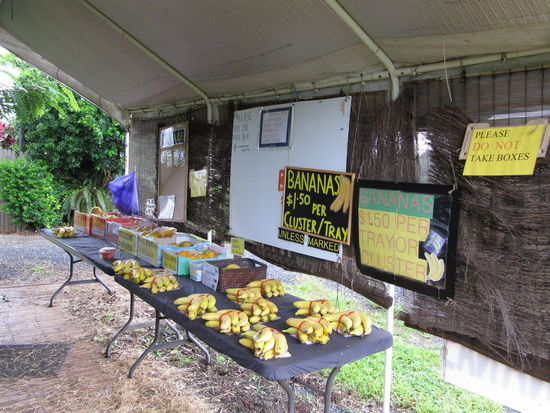 Wieder ein Essens-Stopp. Man kann auch immer super am Straßenrand Obst und Früchte von den jeweiligen Farmen kaufen. Frischer geht's nicht, daher nutzen wir diese Verkaufsstände sehr oft.