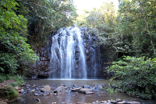 Wir sind auch den Waterfall Circuit gefahren. Ein tolle Straße an der drei Wasserfälle liegen. Im Bild die Ellinja Falls.