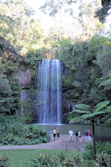 Und last but not least die Millaa Millaa Falls.