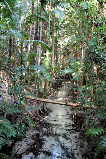 Durch das Tal fließt ein kleiner Fluss. Das Wasser ist glasklar und das helle was man sieht ist keine Schaumkrone, sondern der feine weiße Sand auf dem Boden des Flusses.
