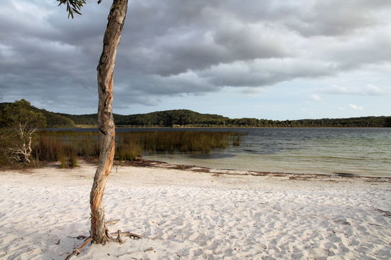 Abendstimmung am Lake Birrabeen.