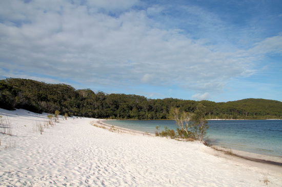 Unser letzter Stopp war das Highlight (zumindest für die meisten Touris) der Insel, der Lake McKenzie. Als wir ankamen war es noch bewölkt, aber nach einer Stunde kam die Sonne raus und wir konnten den See bei Sonne genießen.