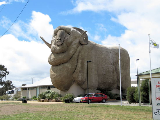 In Goulburn steht auch dieses Riesen-Merinoschaf. Nach der kalten Nacht war uns auch klar, warum man hier Merinowolle mag!