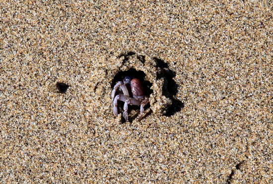 Am Haus angekommen riss er die Tür auf ...
