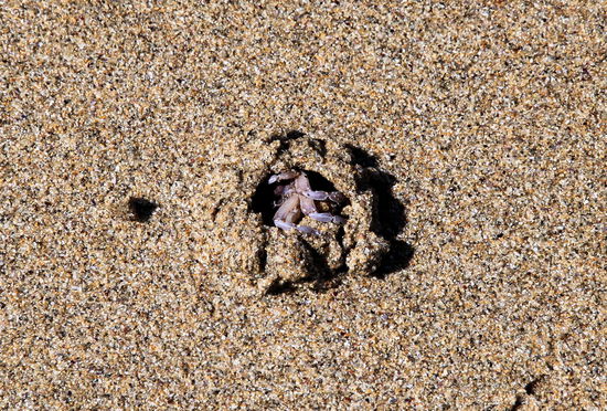 ... und machte sie ganz flink ...