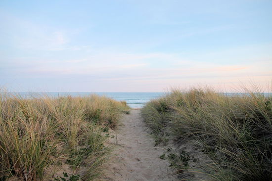 Sieht aus wie Dünen an der Nord- oder Ostseeküste, ist aber Australien!