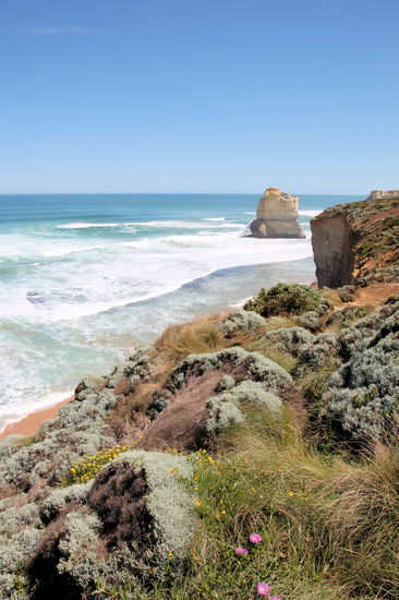 Danach führte uns die Straße wieder ans Meer. Hier gab es auch wieder diese schönen Wildblumen und im Hintergrund schon den ersten Apostel.