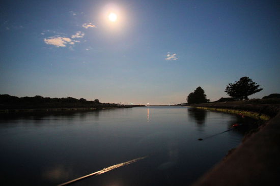 Von diesem absolut enttäuschenden Naturereignis blieben uns viele Mückenstiche und dieses Nachtfoto des Hafens von Port Fairy (ich musste immer an das Spülmittel Fairy Ultra denken!) mit Griffith Island auf der rechten Seite.