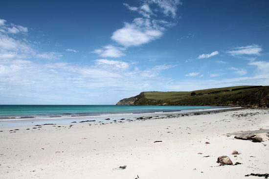 Das Cape Bridgewater mit dem sehr schönen Bridgewater Beach. Am Cape haben wir uns auch die blowholes (war wenig zu sehen) und ...