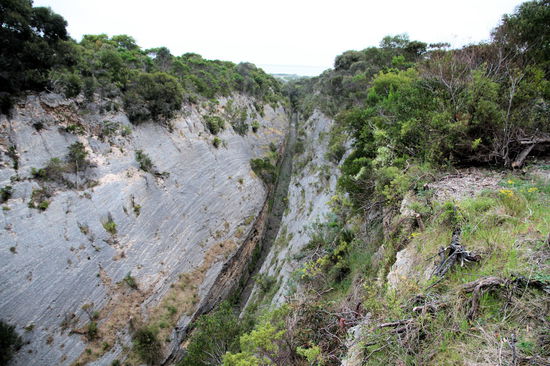 Vor dem Ort Robe kann man diese Entwässerungsschlucht (Woakwine Cutting) besichtigen. Sie hat mich sehr an den Kanal von Korinth erinnert. Dieser Schnitt in das Gebirge wurde von einem Bauern gemacht, um seinen großen Sumpf oberhalb des Gebirges trocken zu legen. Die künstliche Schlucht ist einen Kilometer lang und an ihrer tiefsten Stelle 34m tief. Für diese Arbeit hat der Bauer zusammen mit einem Helfer drei Jahre gebraucht. Unterstützt wurden sie von zwei großen Baumaschinen (die jetzt neben dem Aussichtspunkt stehen) und viel Sprengstoff. Sie haben während der Bauarbeiten 276.000 Kubikmeter Material entfernt.