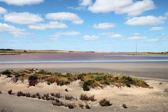 Nördlich von Meningie kamen wir an diesem violetten See vorbei. Wir wissen nicht woher die Farbe kommt, aber sie war deutlich zu erkennen.