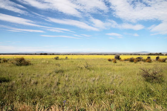 Man fährt durch eine flache Landschaft mit Bergen im Hintergrund.