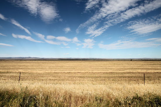 Die riesigen Flächen wurden entweder als Ackerflächen (wie im Bild) oder als Weideland genutzt.