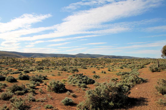 Erst wenn man dem Nationalpark näher kommt, ändert sich die Vegetation deutlich und es ist auch nicht mehr ganz so flach.
