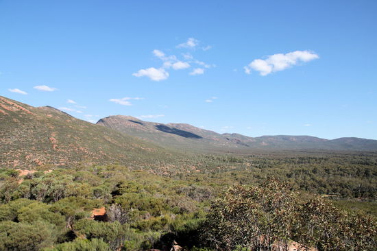 Der Rand des Wilpena Pound - wie der Rand einer riesigen Schüssel.