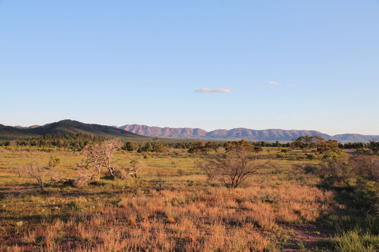 Die Berge des Wilpena Pound in der Abendsonne.
Uns beiden hat der Flinders Range National Park sehr gut gefallen!