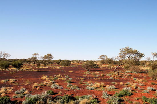 Ein typisches Outbackbild mit den verschiedenfarbigen Böden, von orange bis rotbraun.