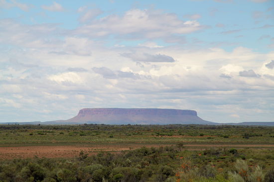 Auf halber Strecke von Erldunda zum Uluru/Kata Tjuta National Park erblickt man Mount Conner. Er sieht ein wenig aus, wie der Tafelberg in Kapstadt. 
Wie man sieht war es trocken und nur noch bewölkt.