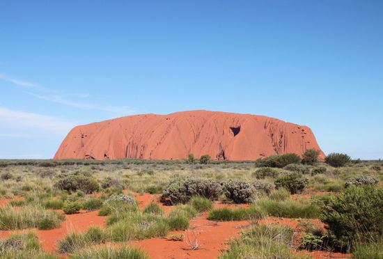 Die klassische Ansicht des Uluru am späten Nachmittag. Wir haben dann direkt am Berg geparkt und dachten es wäre schon zu spät für eine Wanderung um den Uluru. Wir hatten extra nach der Zeit für den Sonnenuntergang gefragt und wunderten uns, wie hoch die Sonne noch stand. Nachdem wir andere Wanderer nach der Uhrzeit fragten, bemerkten wir, dass wir uns seit anderthalb Tagen erneut in einer anderen Zeitzone befanden! Dank der spontan dazu gewonnenen Stunde, konnten wir entspannt die Umrundung beginnen. 