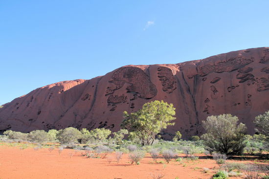 Diese Seite (leider bereits im Schatten) hat mich eher an aufgeschnittenes Gehirn erinnert.