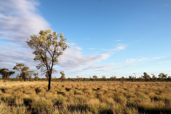 Mit dem Uluru im Rücken ist die Aussicht ebenfalls schön.