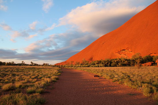 Die Farben sind echt - ich hab nicht am Farbregler rumgespielt! 