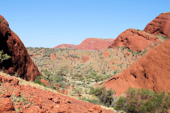 Der Ausblick vom ersten lookout. Ab hier wird der Wanderweg gesperrt, wenn es um 11.00 Uhr schon 36 Grad oder heißer ist! Bei uns (später Nachmittag) war es vergleichsweise kühl mit geschätzten 28 Grad.