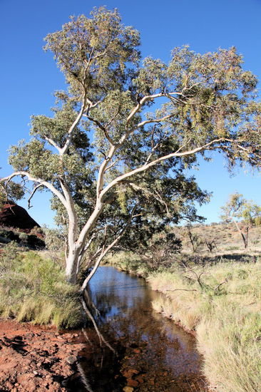 Im ersten Tal fließt dieser schöne und kühle Bach.