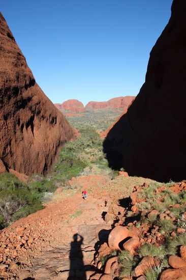 Lizzy beim Abstieg ins Tal. Dank der tiefstehenden Sonne bin ich auch mit auf dem Foto. 