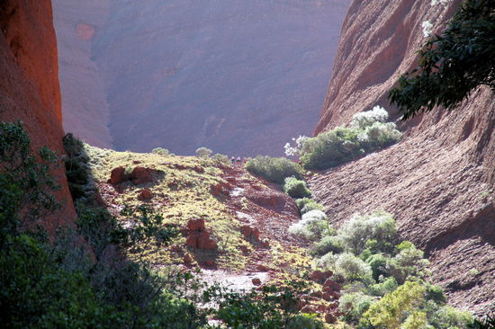 Beim Blick zurück werden die Dimensionen noch ein bisschen deutlicher. In der Bildmitte sieht man eine Gruppe Wanderer am zweiten lookout, die ins Tal schauen. So bekommt man eine bessere Vorstellung davon, wie groß diese Schlucht ist und wie hoch die Felswände sind.