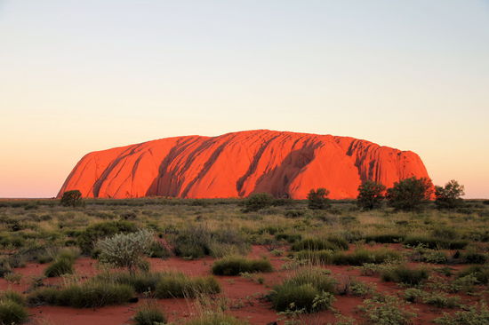 Auf dem Rückweg von Kata Tjuta kommt man fast automatisch beim 'sunset viewpoint' für den Uluru vorbei. Wir kamen gerade noch rechtzeitig für den Sonnenuntergang*, den wir mit einer Tasse Kaffee (ein Campervan ist ja so praktisch!) und Keksen bestaunen konnten. Die Gesamtansicht auf den Uluru ist sehr schön, aber direkt am Fuß des Uluru fanden wir das Farbenspiel noch beeindruckender.
* (Lizzy) Wir kamen quasi mit quietschenden Reifen noch gerade rechtzeitig an. Wen wundert's? Habe immer gewechselt zwischen Sonnenuntergang gucken und im Campervan Kaffee kochen. Aber war ja nicht so schlimm, da ich den Sonnenuntergang direkt am Uluru schöner fand. Was hat Rod gemacht??? Fotografieren!