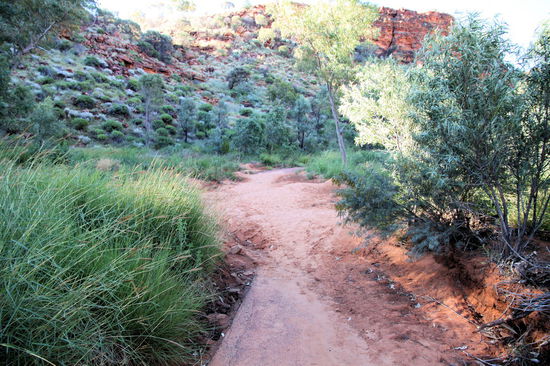 Wie bereits erwähnt, gab es in den Monaten zuvor starke Regenfälle. Der kleine Bach durch die Schlucht muss sehr stark über die Ufer getreten sein und hat dabei viel Material auf dem Weg abgelagert. Eigentlich ist es ein geteerter Weg, der rollstuhlgeeignet ist.