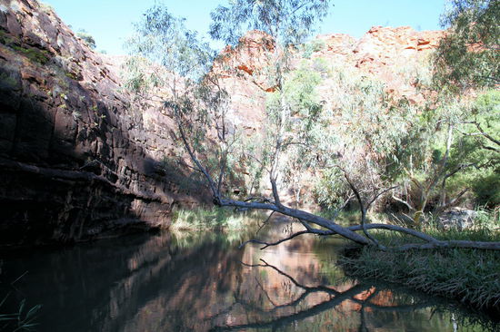 Am Ende der Schlucht erreicht man dieses schöne permanente Wasserloch.