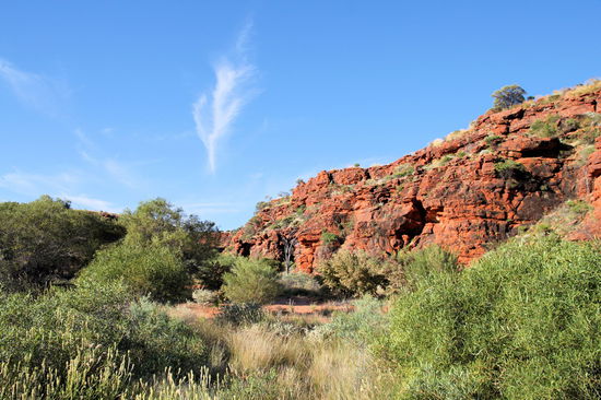 Auf dem Rückweg vom Wasserloch sorgte die Abendsonne für tolle Farben.