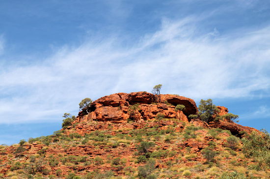 Am nächsten Tag begaben wir uns nachmittags in den Kings Canyon. Die Felsen und die Farben sind sehr schön.