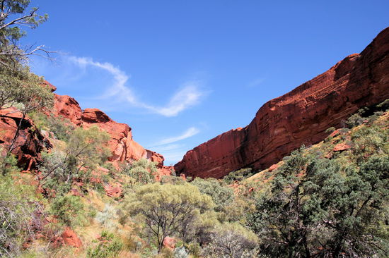 Blick von der Aussichtsplattform am Ende des Weges in die Schlucht hinein. Weiter darf man nicht in die Schlucht gehen, da es ein wichtiger religiöser Ort der Aborigines ist. Man darf aber oberhalb am Rand der Schlucht entlang wandern, was wir im Anschluss an den Creek Walk auch getan haben.
