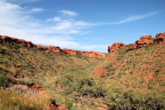 Zurück am Anfang der Schlucht begann unser Aufstieg zum Kings Canyon Rim Walk. In der Mitte der Schlucht verläuft der Creek Walk den wir vorher gelaufen waren.