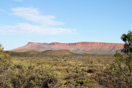 An der Zufahrtsstraße zur Simpsons Gap liegt der 'Cassia Hill Walk'. Wir haben eine Stunde für diesen schönen 'self guided walk' mit Schwerpunkt Pflanzen benötigt. Man muss über einen kleinen Hügel, aber dafür wird man mit dieser tollen Aussicht auf die West MacDonnell Range belohnt!