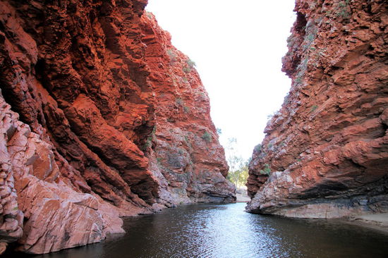 Da es auch hier viel geregnet hatte, stand sehr viel Wasser in der Schlucht.