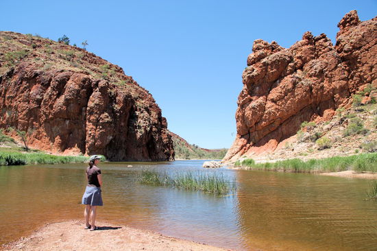 Die Glen Helen Gorge. Vom Campingplatz führt ein kurzer Spazierweg zur Gorge, die ebenfalls voll mit Wasser war. Man hätte auch schwimmen können, aber selbst Lizzy war das Wasser zu kalt.