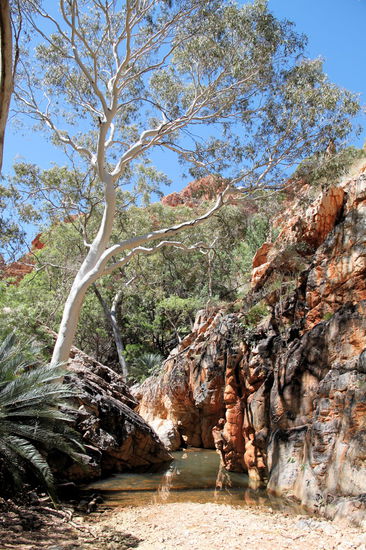 Der Weg führte überwiegend am Wasser/Bach entlang und man konnte schöne Felsen und Bäume sehen.